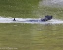 20260823-Master-0100