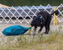20260823-WWD-0004