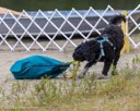 20260823-WWD-0005