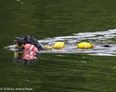 20260823-WWD-0036