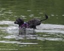 20260823-WWD-0076