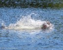 20260829-CWD-0060