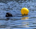 20260829-CWD-0133
