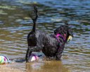 20260829-CWD-0348