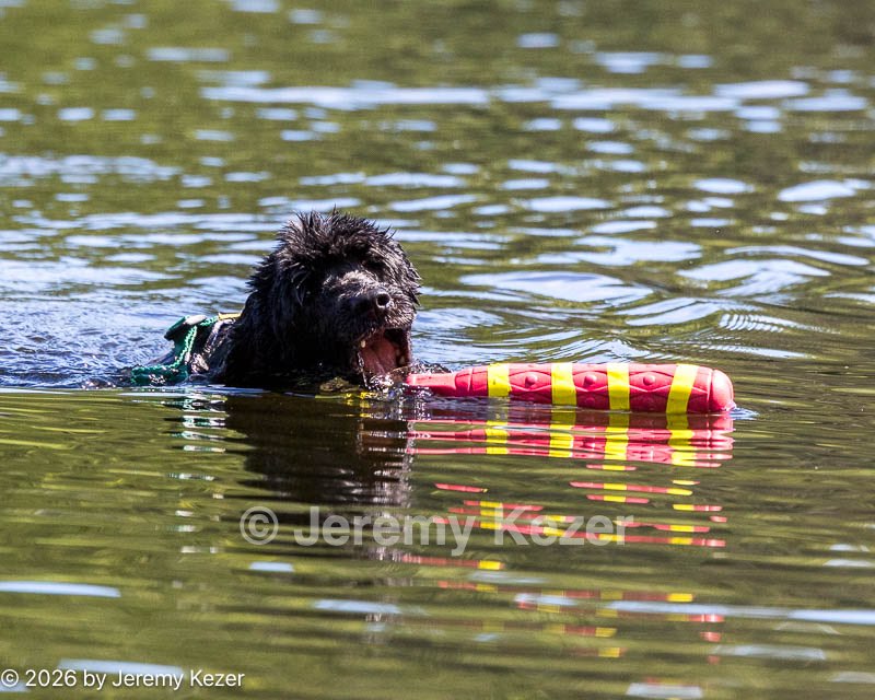 20260829-CWD-0113.jpg