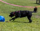 20260829-WWD-0054