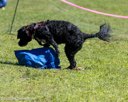 20260829-WWD-0056