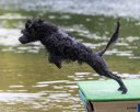 20260830-AWD-0228