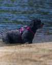20260830-CWD-0030