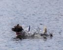 20260830-CWD-0152