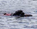 20260830-CWD-0306