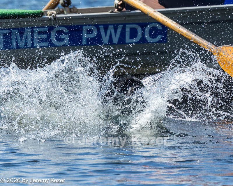 20260830-CWD-0115.jpg