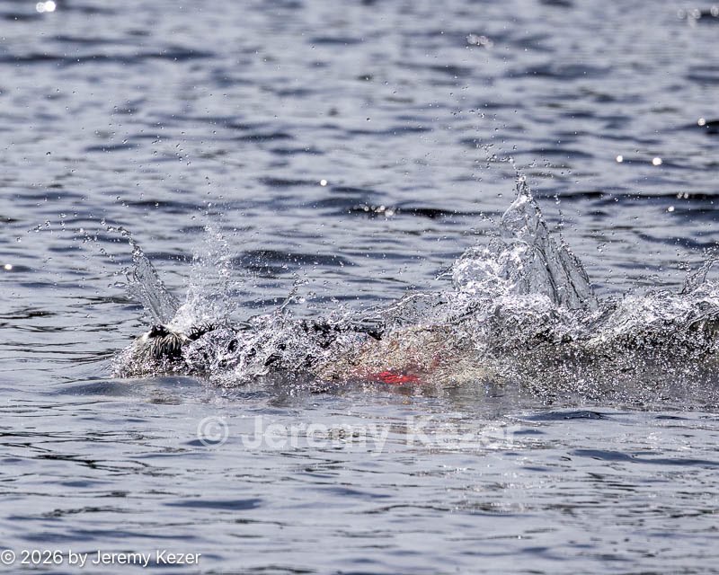 20260830-CWD-0281.jpg