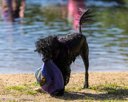 20260830-Master-0223