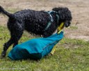 20260830-WWD-0054
