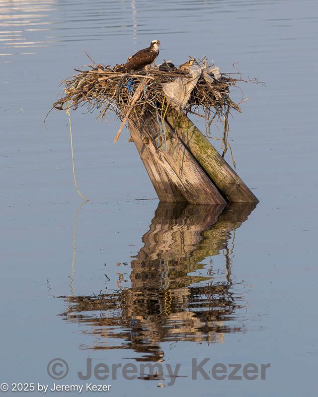 20130630-0132.jpg