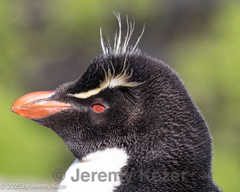 20191212-0294.jpg