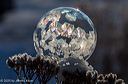 20200122-0391
