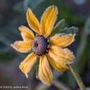 20181019-0001