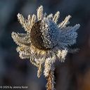 20181031-0101
