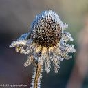 20181031-0109