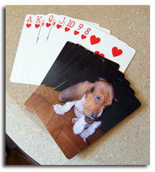 cards