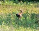 20140712-mha-0005