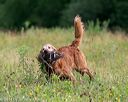 20140712-mha-0097
