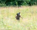 20140712-mha-0113