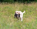 20140712-mha-0165
