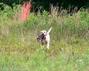 20140712-mha-0171