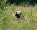 20140712-mha-0312