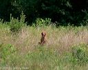 20140712-mha-0418