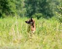 20140712-mha-0430