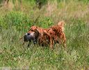 20140712-mha-0486