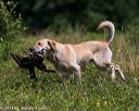 20140712-mha-0558