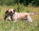 20140712-mha-0570