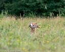 20140712-mha-0615
