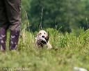 20140712-mha-0633