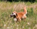 20140712-mha-0660