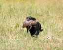 20140712-mha-0814