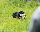 20140713-jhl-0004