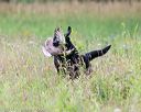 20140713-jhl-0046