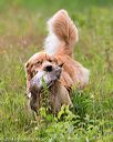 20140713-jhl-0178
