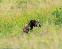 20140713-jhl-0183