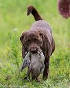 20140713-jhl-0186