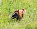 20140713-jhl-0250