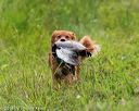 20140713-jhl-0284