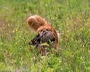 20140713-jhl-0295