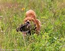20140713-jhl-0298